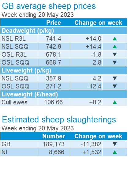 Sheep Prices