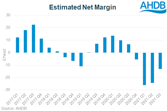 Estimated net margin graph