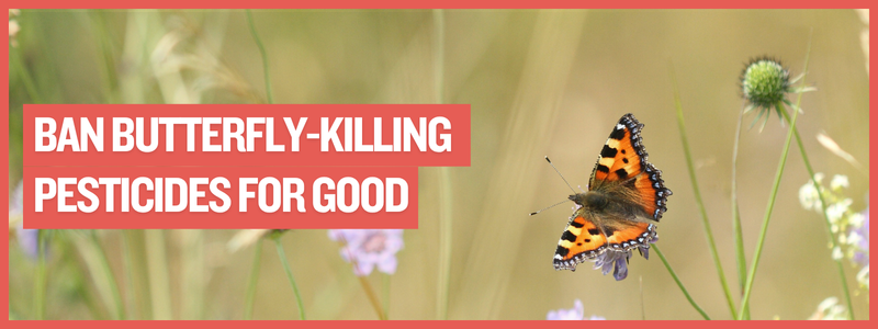 Ban butterfly-killing pesticides