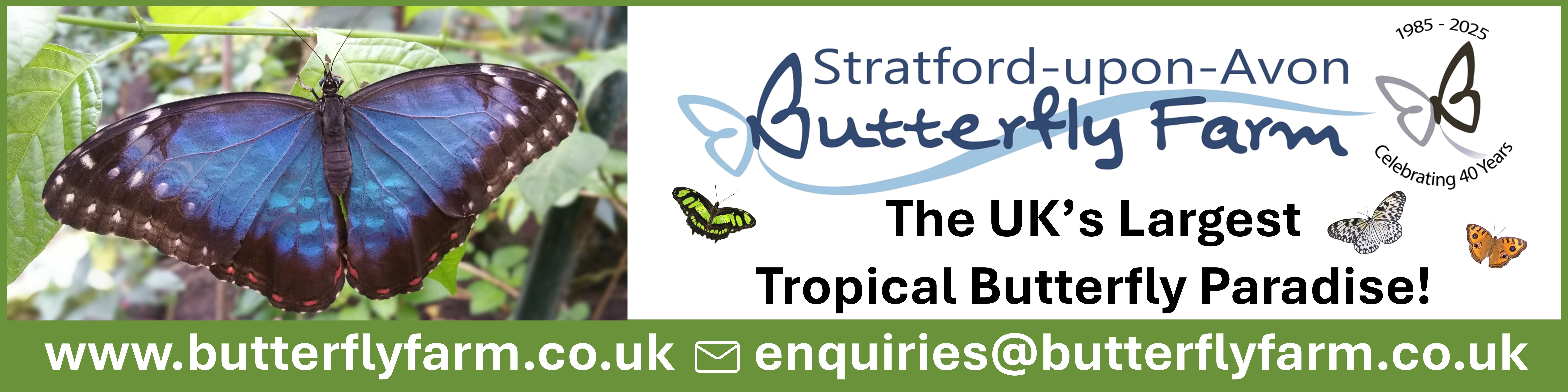 Butterfly farm