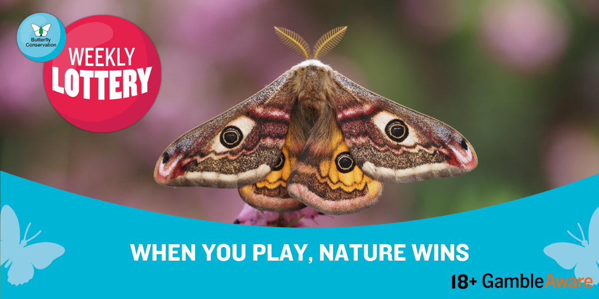 When you play, nature wins