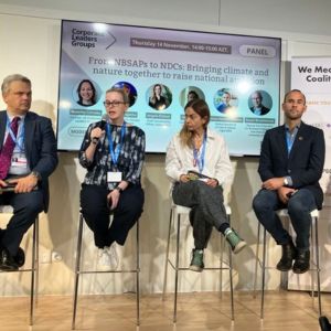 CISL COP29 events round-up