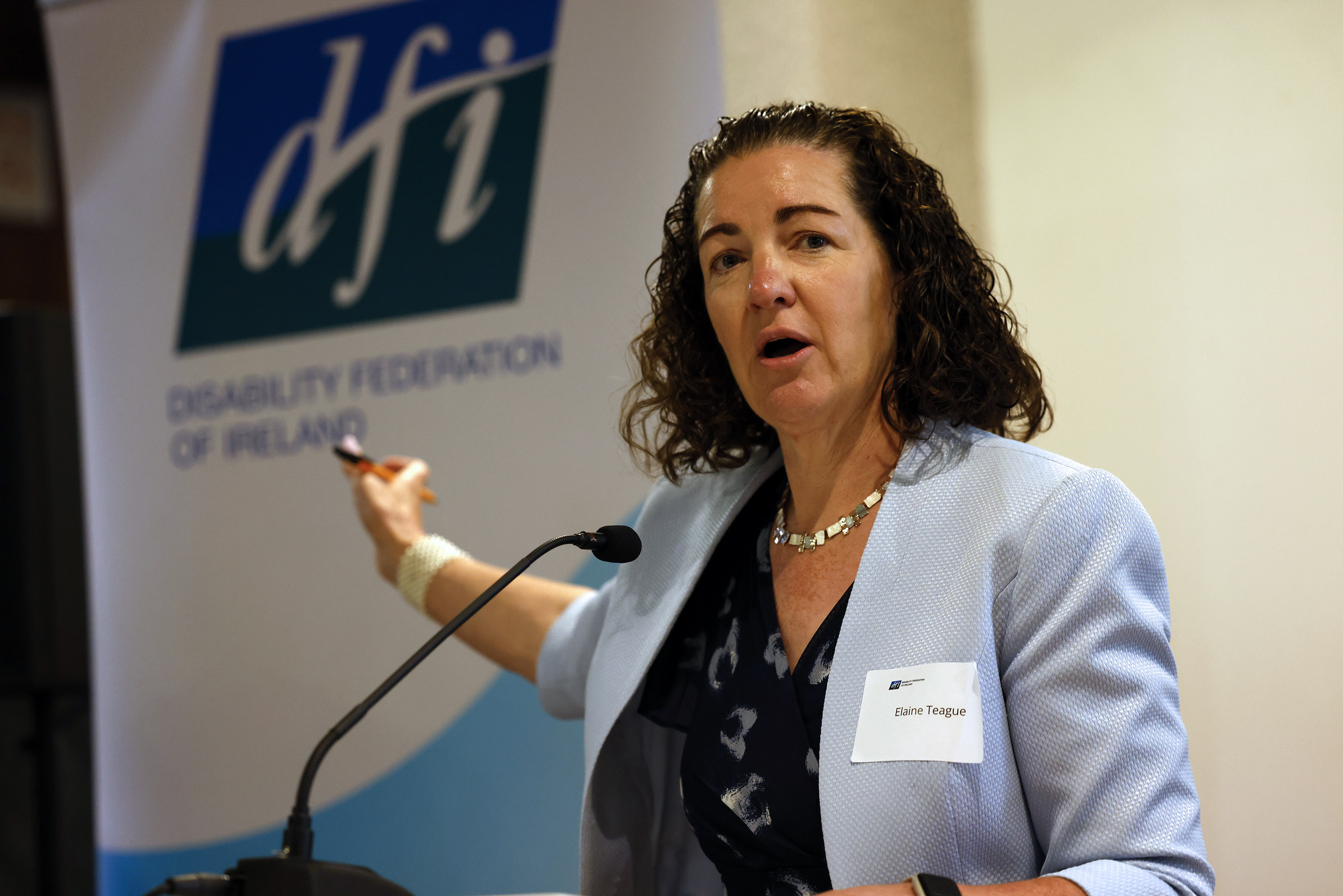 Elaine Teague, wearing a name badge, speaking at a podium in front of a Disability Federation of Ireland banner.