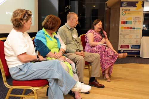 Four panellists seated in a row of chairs at an event, one speaking into a microphone, with a DFI banner and screen in the background.