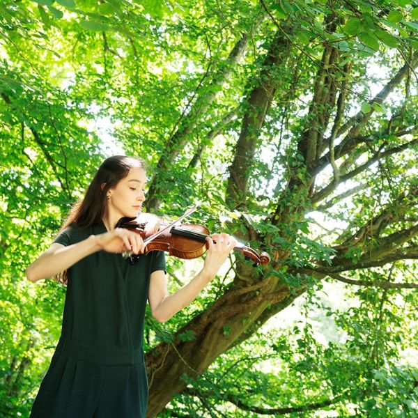 Festival des Forêts