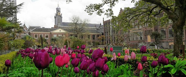 Hortus Botanicus Leiden University