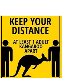 Australia: One Kangaroo apart